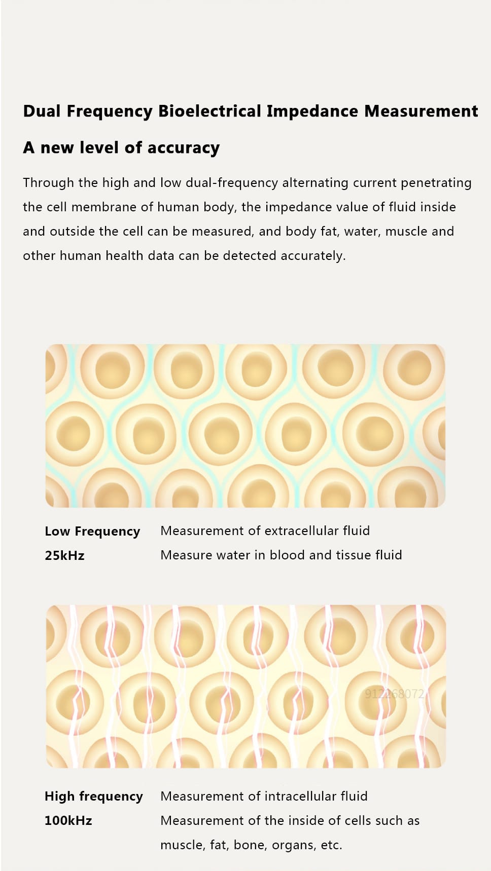Xiaomi Mijia Body Composition Scale S400