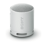 Sony SRS-XB100 Wireless Bluetooth Speaker