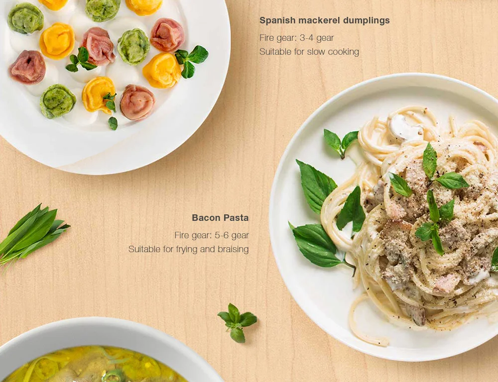 Xiaomi Mijia Induction Cooker Youth Edition (DCL002CM)