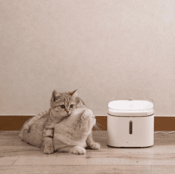 Xiaomi pet water fountain for cats